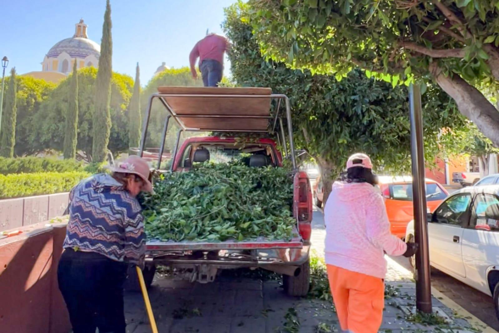 Continúan las acciones de mantenimiento urbano para garantizar espacios públicos seguros y funcionales en Tlaxcala.