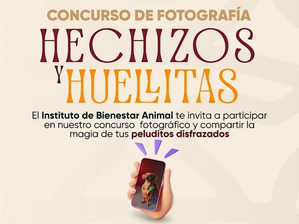 Concurso