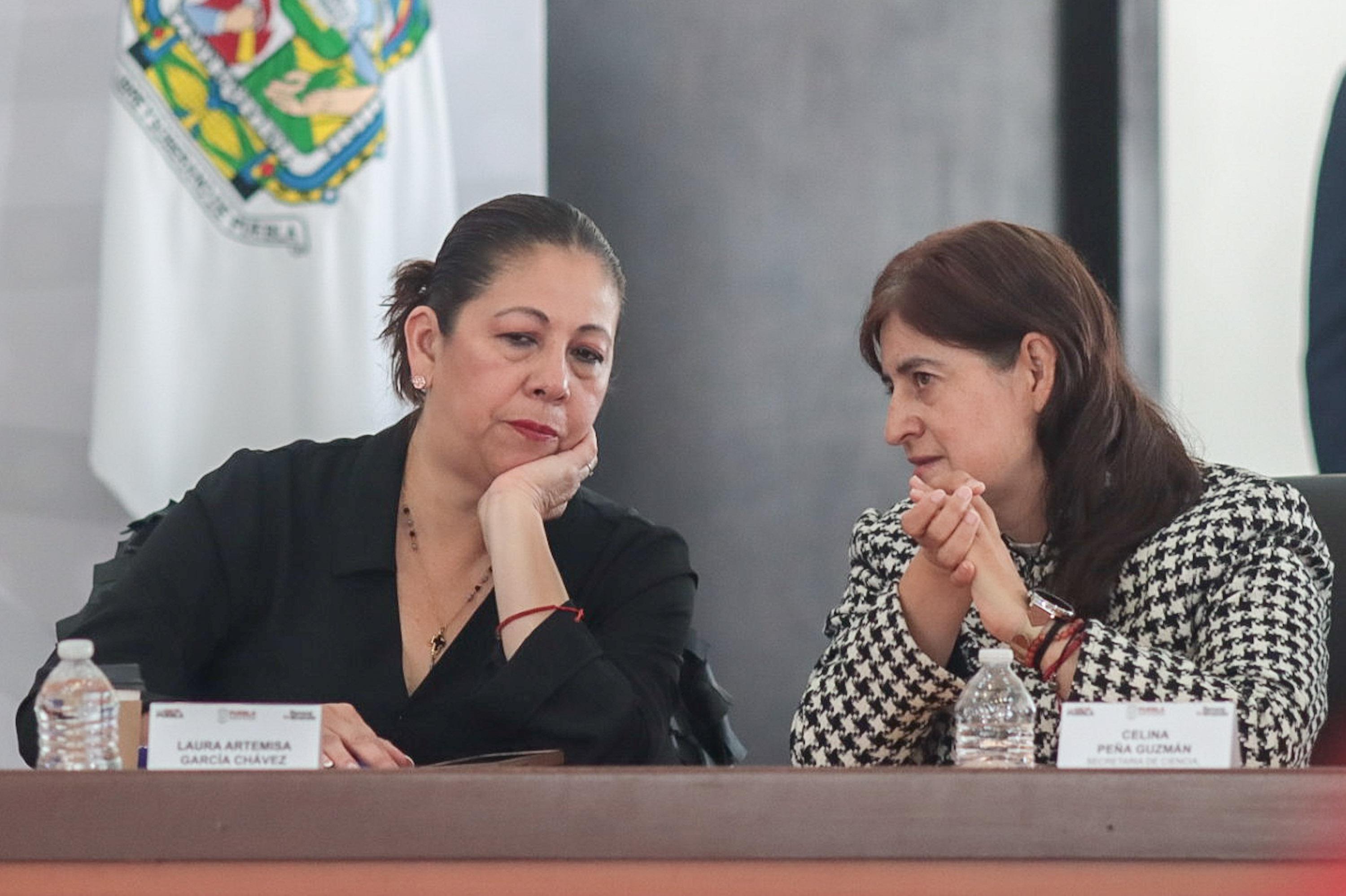 Laura Artemisa García Chávez, titular de la Secretaría de Bienestar en el estado de Puebla.