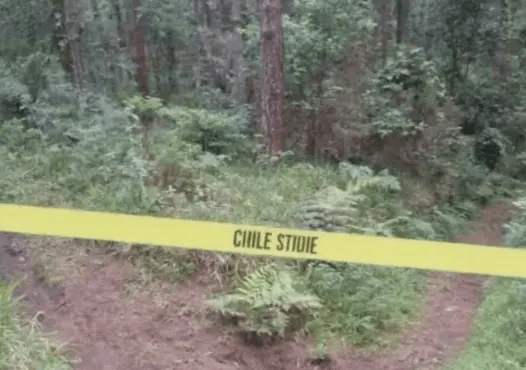 Fiscalía de Puebla investiga hallazgo de cuatro cuerpos en la autopista México-Tuxpan.