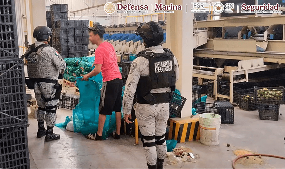 Se aseguraron 164 cartuchos, seis cargadores, ocho artefactos explosivos improvisados y cuatro vehículos.