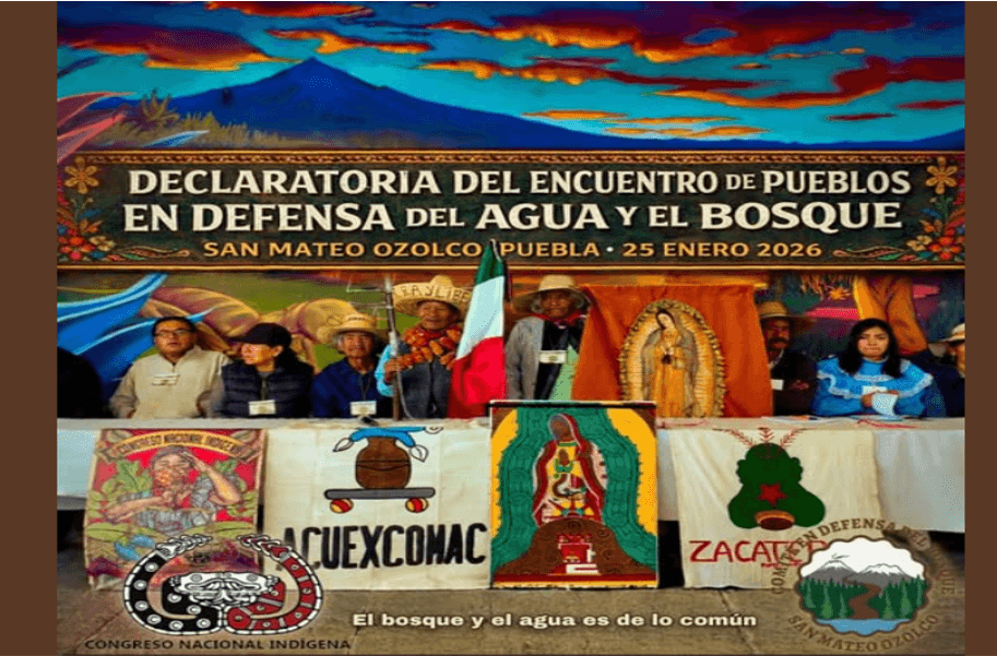 En la comunidad de San Mateo Ozolco, se llevó a cabo un encuentro de pueblos y comunidades que luchan por la defensa del agua y el bosque.