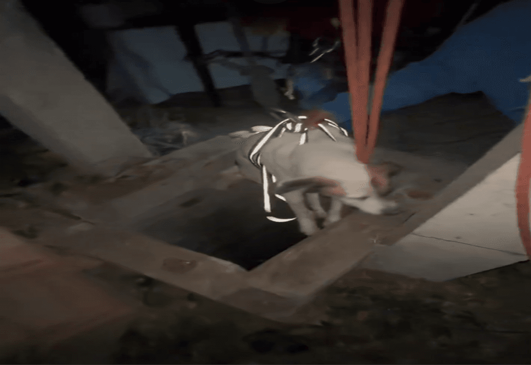 Protección Civil del municipio de Puebla rescató a un par de perritos que cayeron a un pozo en la junta auxiliar de San Francisco Totimehuacan.