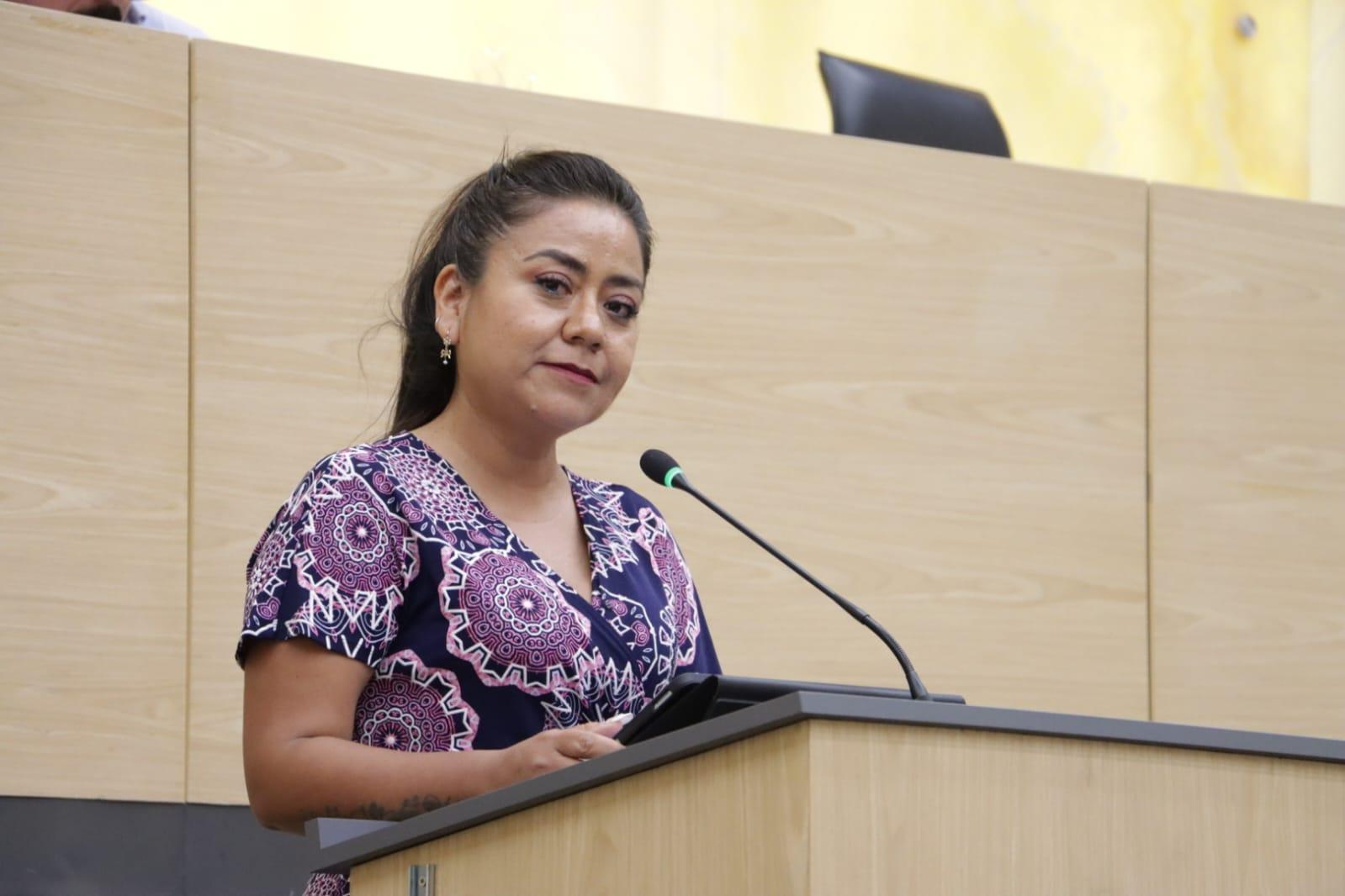 Celia Bonaga Ruiz, diputada local por el Partido Acción Nacional (PAN).