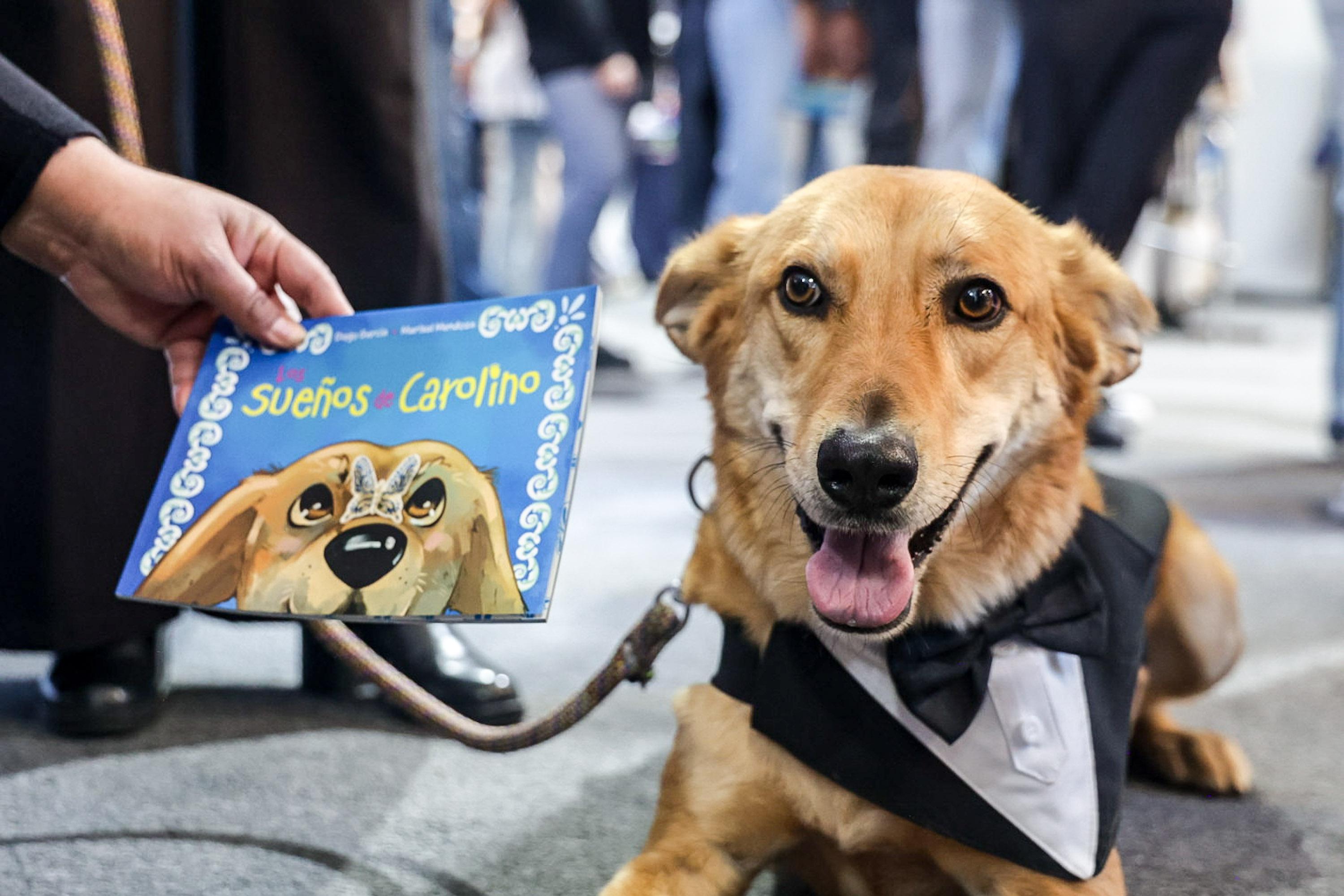 Presentan el libro Los Sueños de Carolino, en la Fenali BUAP.