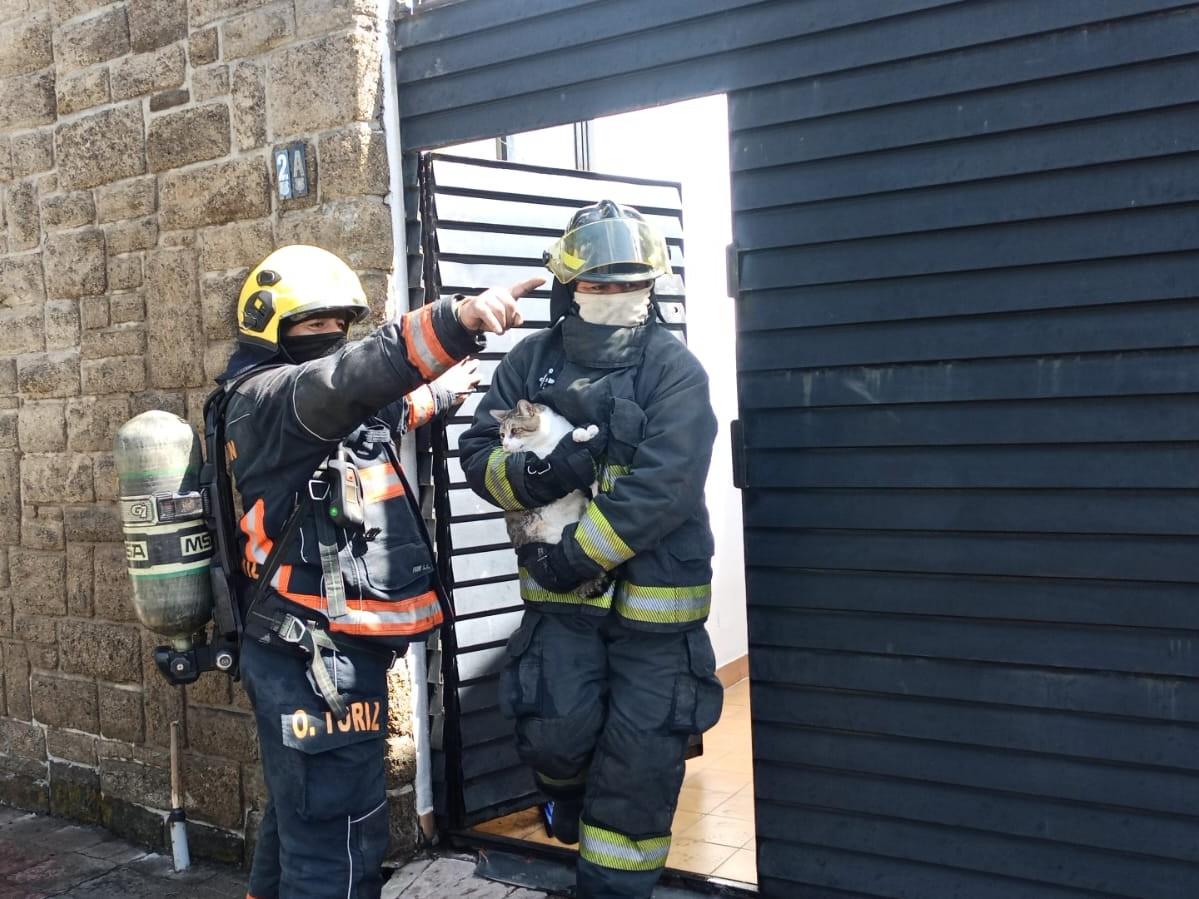 Protección Civil de Puebla atiende dos casos de fuga de gas.