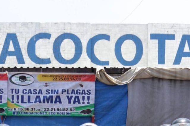 acocota
