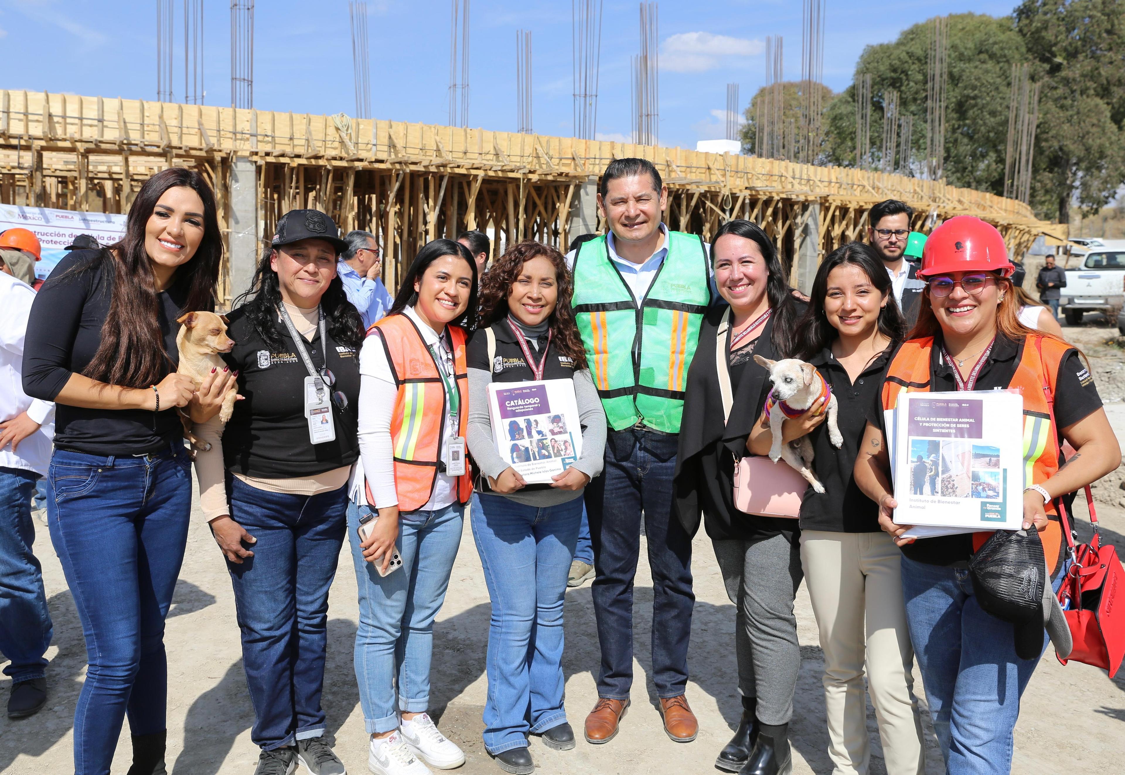 armenta-seres sintientes