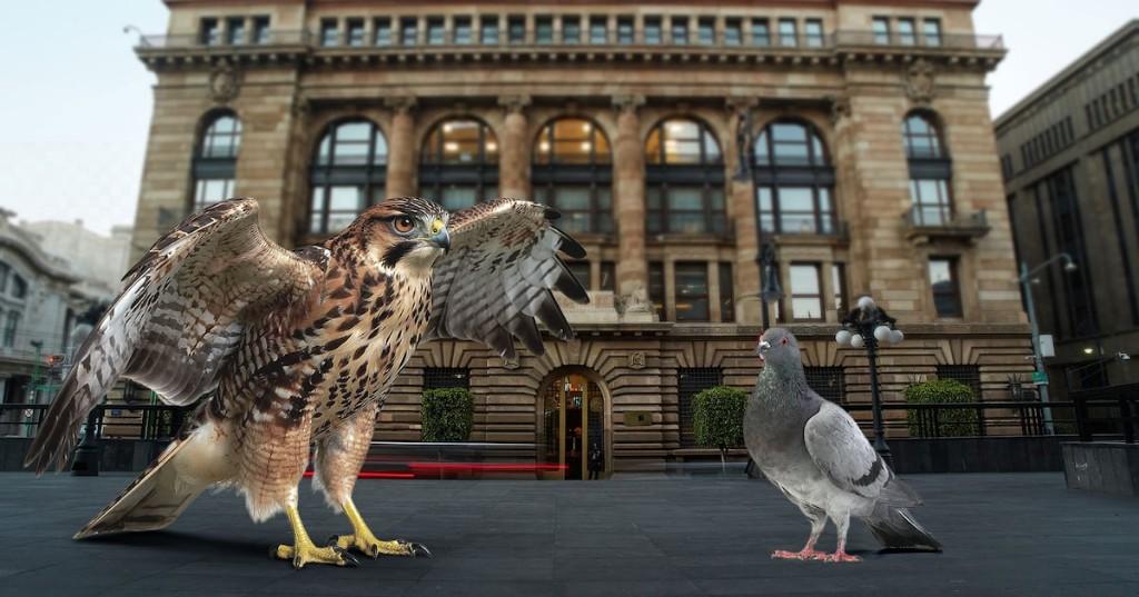 banxico-el financiero
