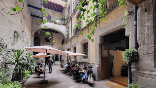 mandrake-café zócalo