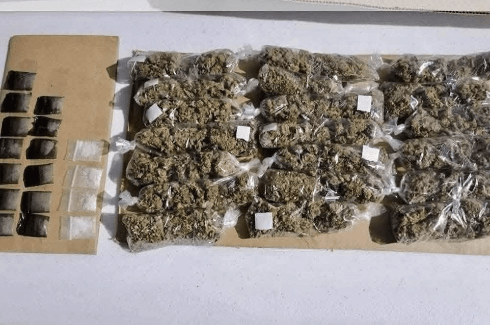 En Saltillo, Coahuila, aseguran más de 700 kilos de marihuana.