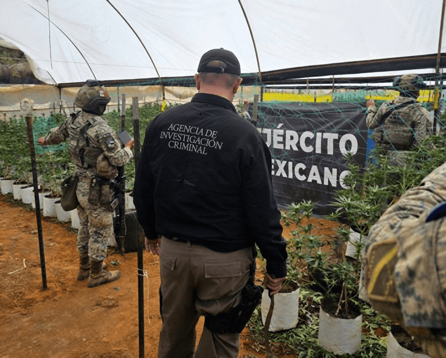 Acciones relevantes del Gabinete de Seguridad del Gobierno de México.