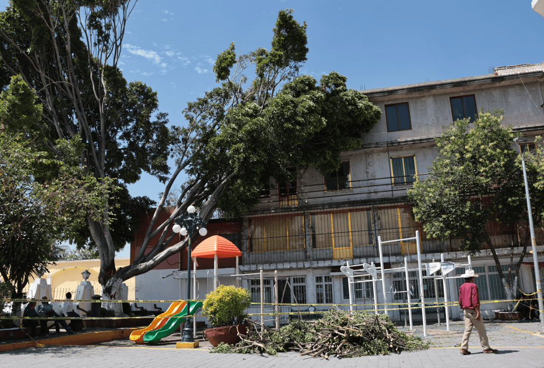 Árbol cae sobre casa en San Felipe Hueyotlipan, en Puebla.