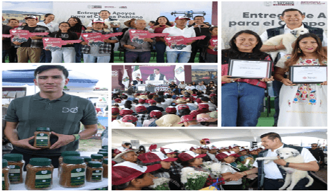 armenta-campo-atlixco