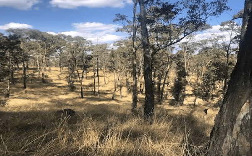 Asaltan a mano armada a un ciclista en el Cerro Zapotecas.