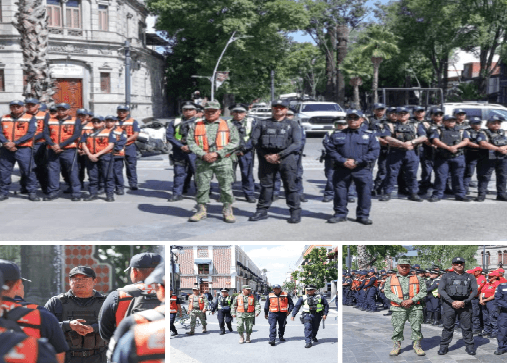 cuerpos de seguridad