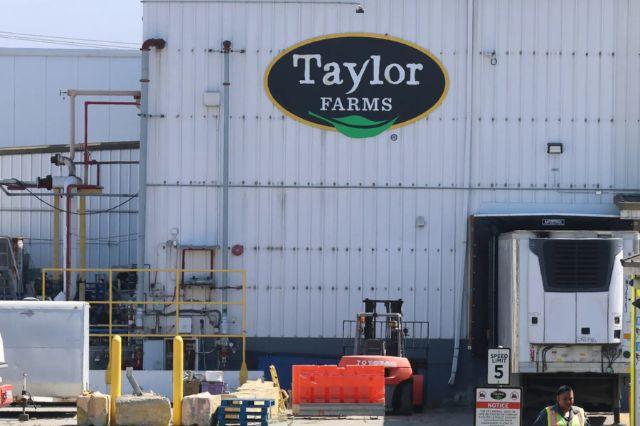 taylor farms