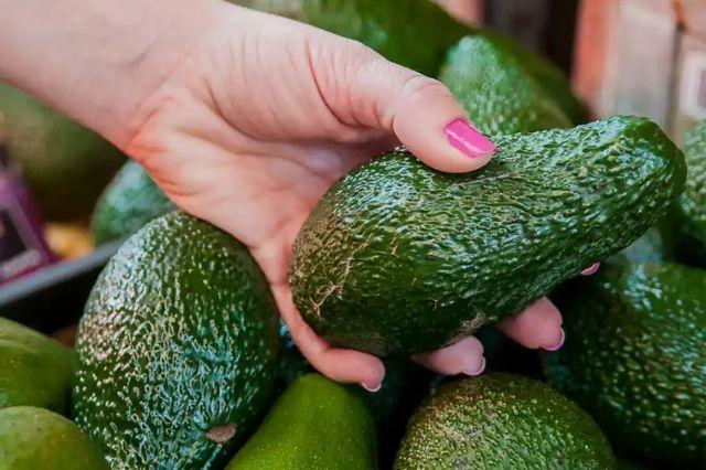 aguacate