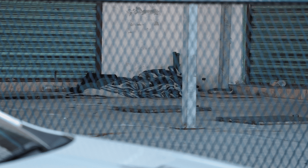 Muere hombre por picadura de alacrán en la Central de Abastos de Puebla.