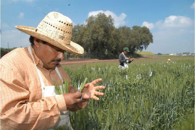 productoresdelcampo