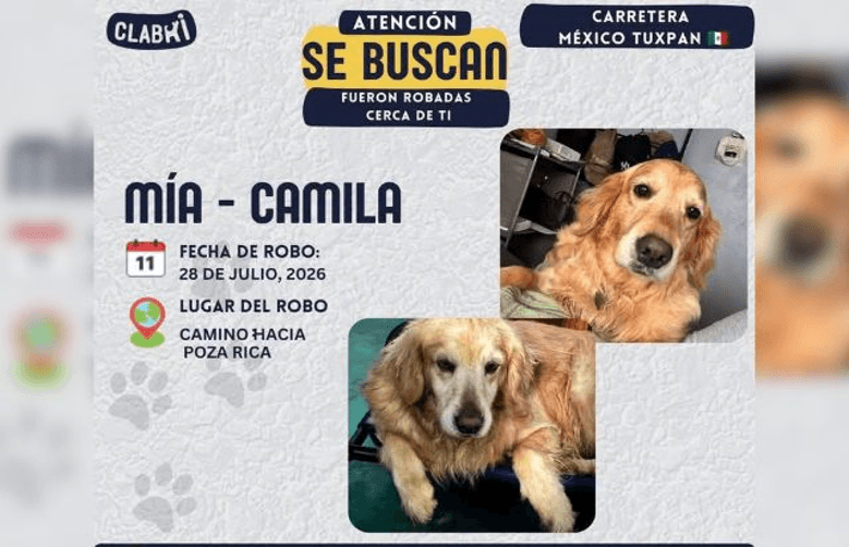 En la México-Tuxpan se registra robo a automovilista y se llevan a sus Golden Retriever.