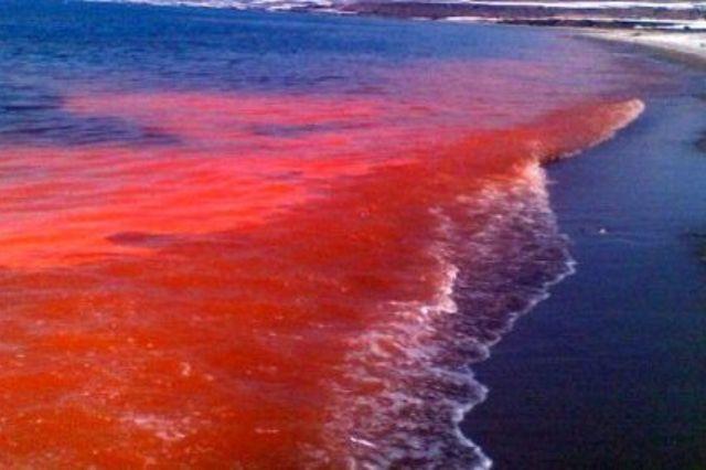 marea roja