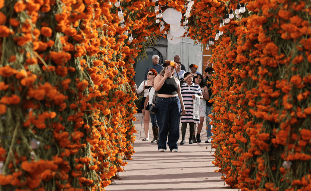 Atlixco entra de lleno en la decoración de Día de Muertos.
