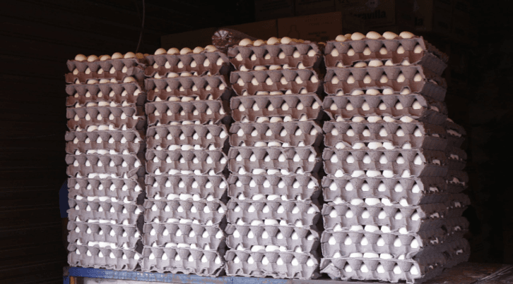 Puebla: segundo mejor productor de huevo a nivel nacional.