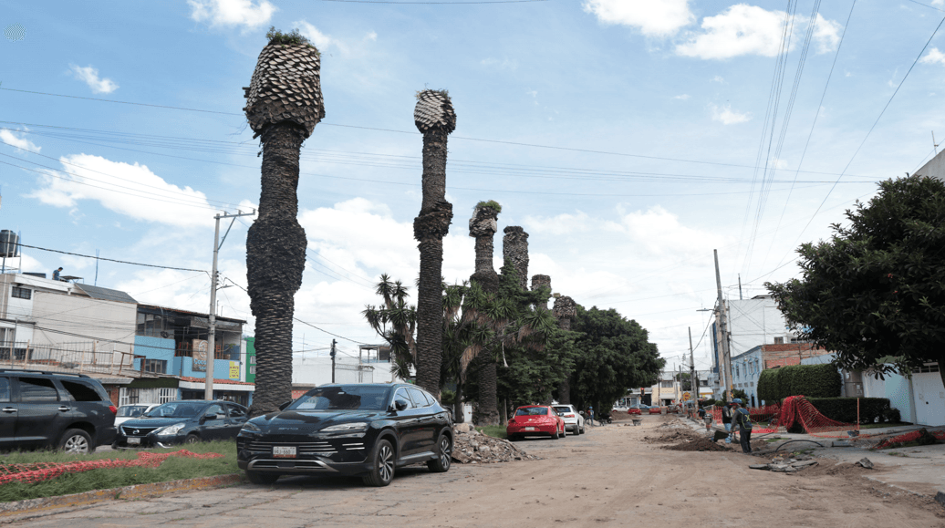 Se encuentra cerrada la Avenida Guadalupe en la ciudad de Puebla.