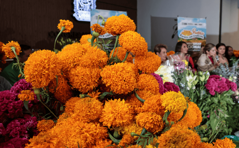 Puebla: primer lugar nacional en producción de flor de Cempasúchil y Terciopelo.