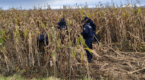 Encuentran a hombre sin vida en terreno de cultivo de Tlatlauquitepec.