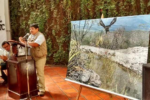 Descubren águila real en Reserva de la Biósfera de Tehuacán