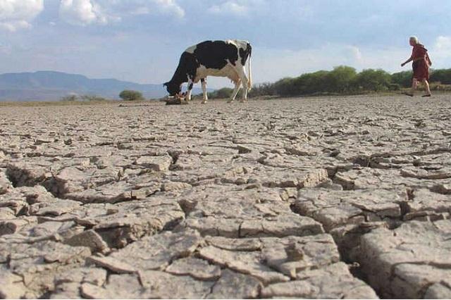 Caltepec registra una sequía extrema que está afectando al campo y al ganado 