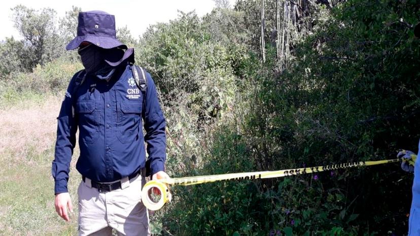 Hallan restos de 59 personas en fosas clandestinas en Guanajuato