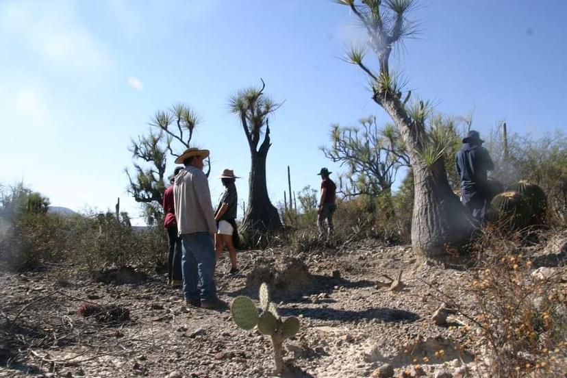 Se reactiva afluencia turística en el Paleoparque Las Ventas de Zapotitlán 