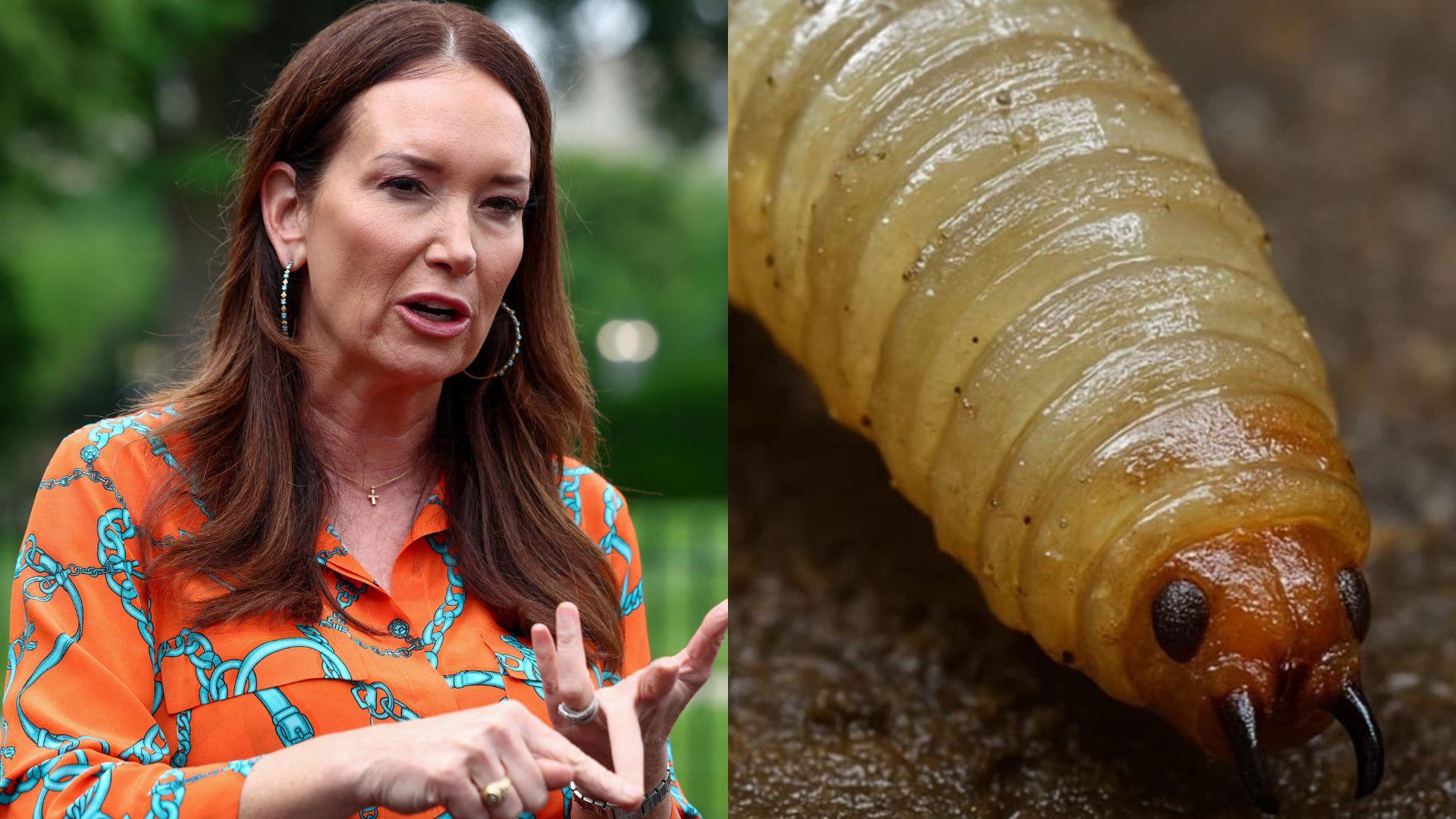 EU critica manejo de México en tema del gusano barrenador