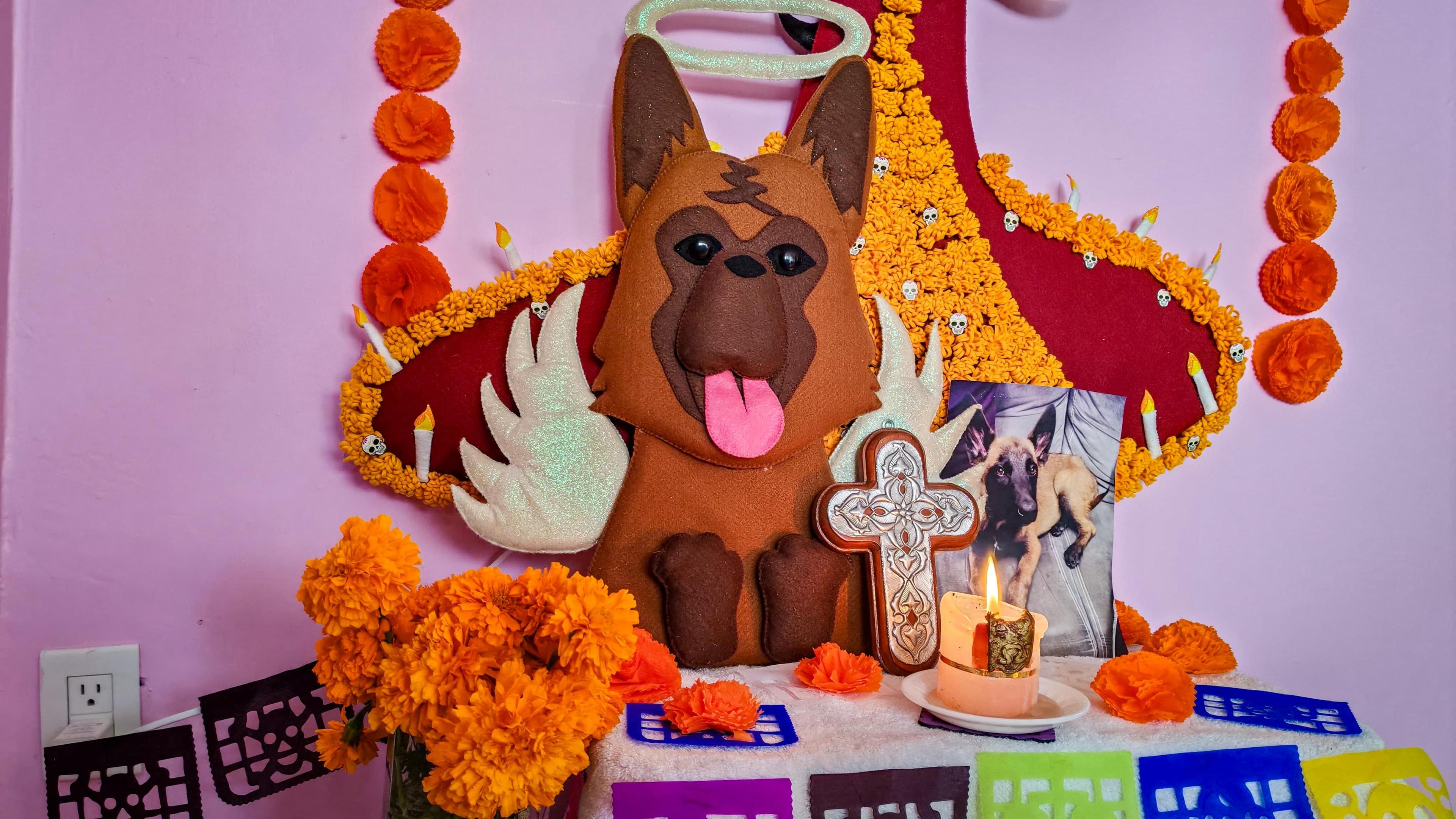 Ofrendas para mascotas se hacen presentes en el Día de Muertos en Tlaxcala.