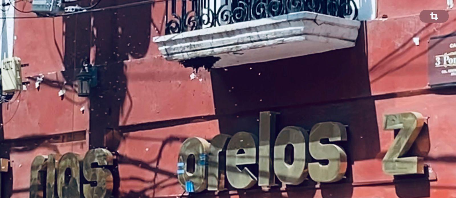 abejas