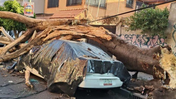 Murieron dos personas tras los efectos derivados del sismo de magnitud 6.5, con epicentro a 4 kilómetros de San Marcos, Guerrero.