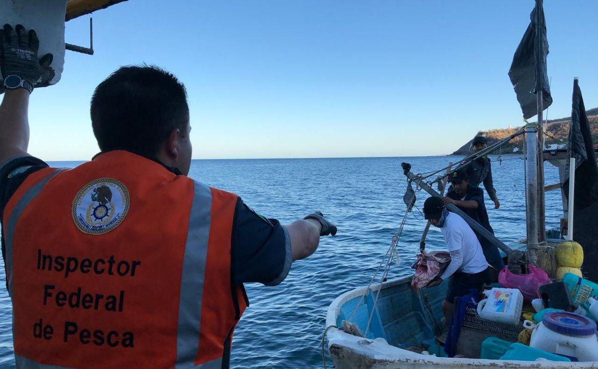 Aseguramiento de embarcación menor en ANP Islas Marías.