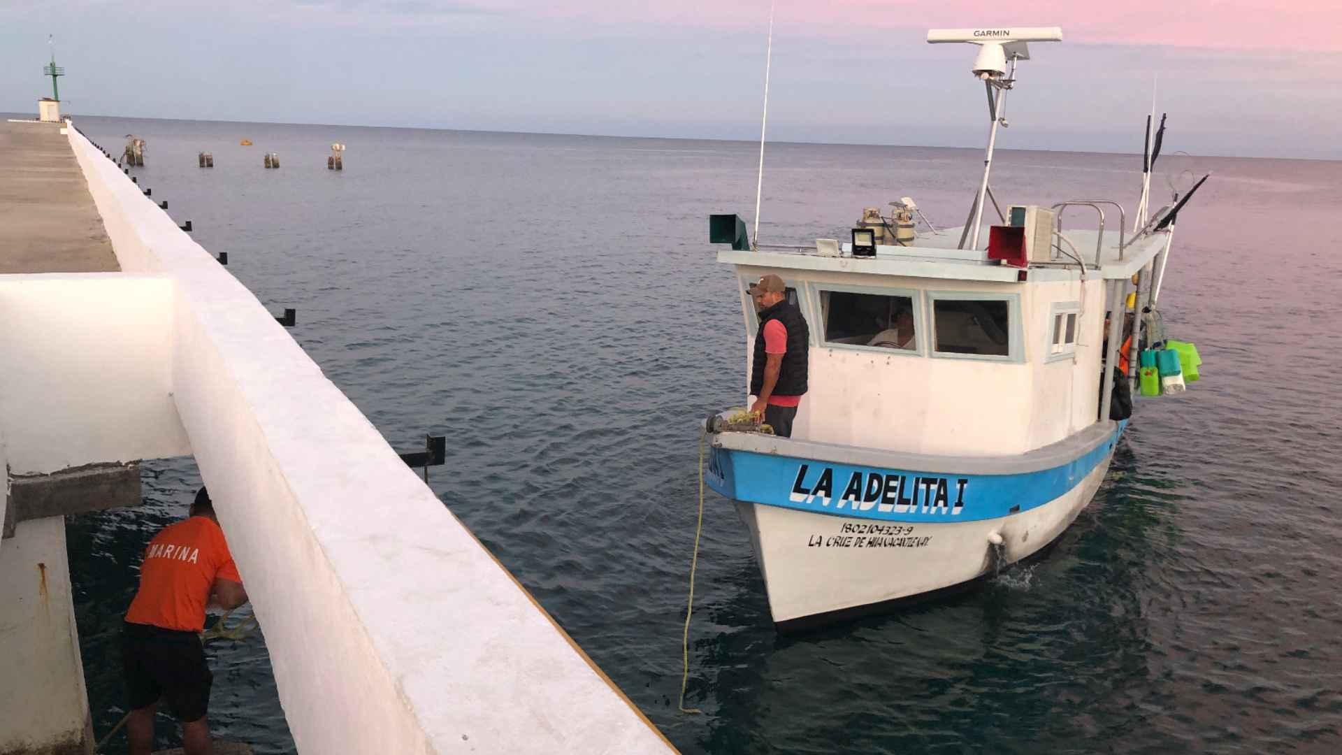 Marina asegura en Islas Marías embarcación con 130 kilos de tiburón.
