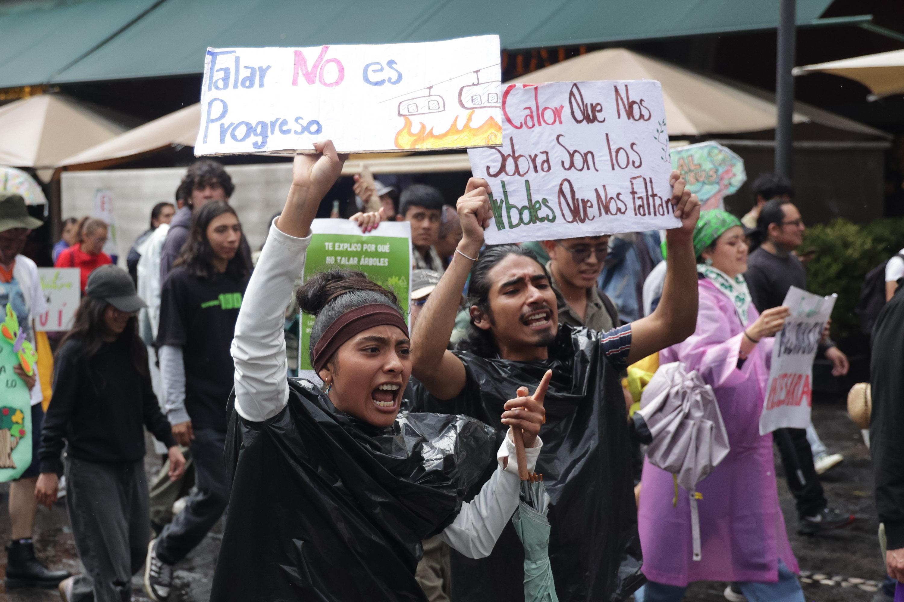 No es progreso, es ecocidio, se manifiestan ambientalistas contra el Cablebús.
