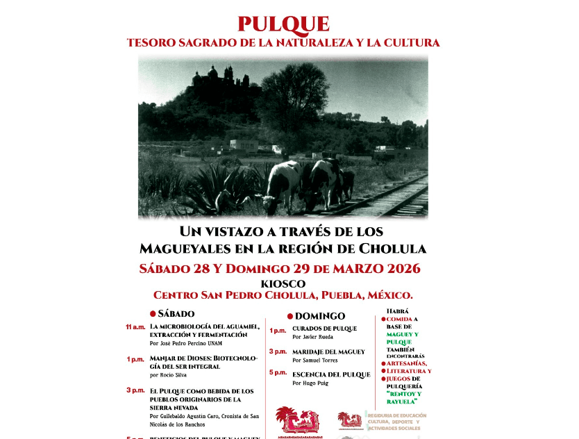 pulque