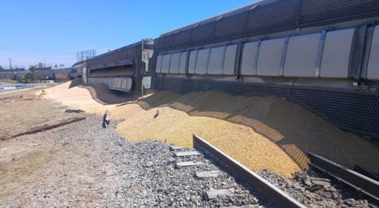 Tren que transportaba granos se descarrilla en Culiacán, Sinaloa.