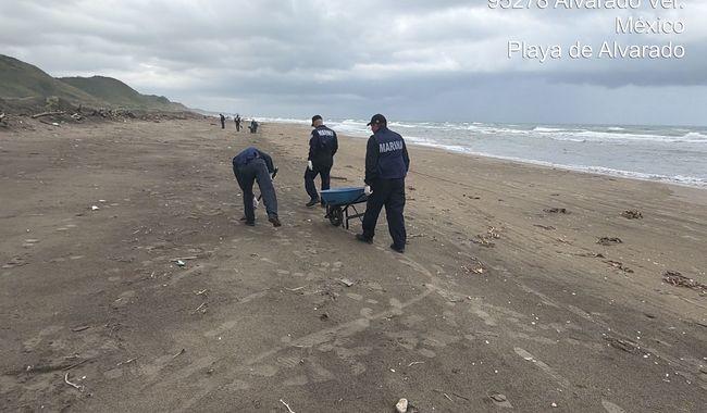 Se mantiene limpieza en playas de Tabasco, Veracruz y Tamaulipas.