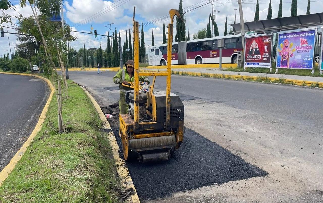 bacheo