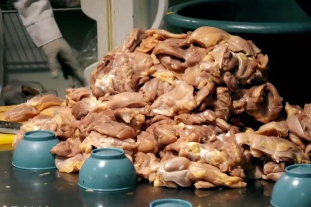 alimentos insalubres
