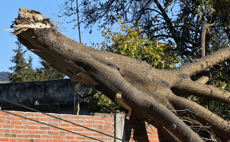 Activan Alerta Amarilla por vientos fuertes en la Ciudad de México.