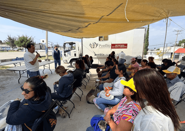 jornadas animales