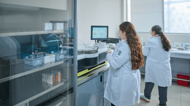 sistema de salud